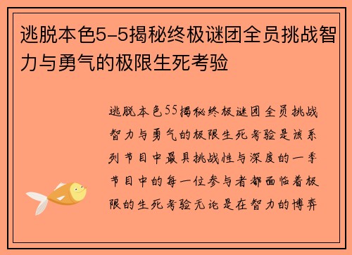 逃脱本色5-5揭秘终极谜团全员挑战智力与勇气的极限生死考验