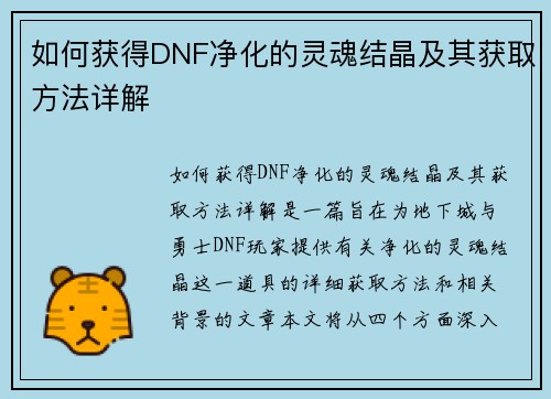 如何获得DNF净化的灵魂结晶及其获取方法详解